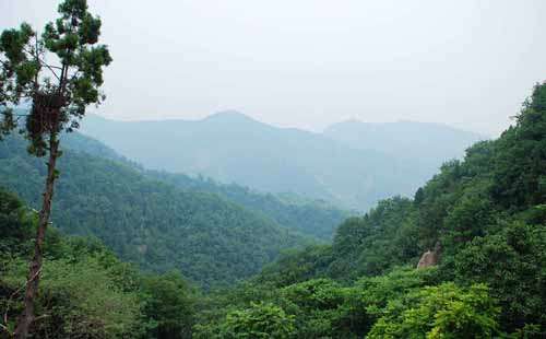 鹫峰山传说